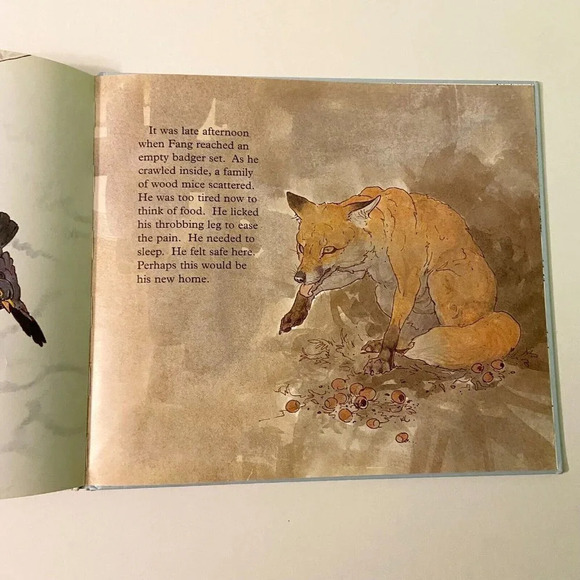Vintage 1996 Fang The Story  of a Fox Book Tessa Potter and Ken Lilly - Picture 14 of 16